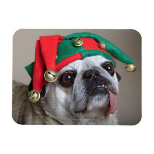 Magnet Flexible Carlin de regard drôle avec la langue traînant