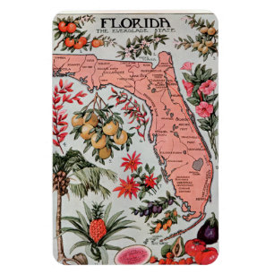 Magnet Flexible Carte de la Floride Vintage