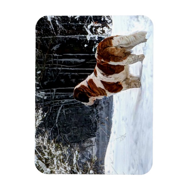 Magnet Flexible carte de Noël photographique de Saint-Bernard enne (Vertical)