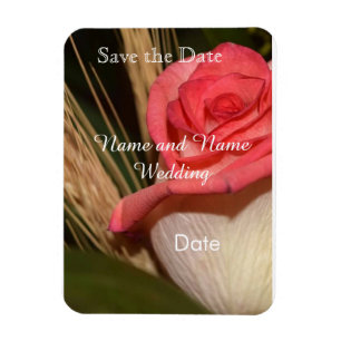 Magnet Flexible Carte de sauvegarde de date