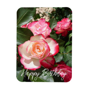 Magnet Flexible Carte Rose de fleurs Roses rouge et blanc