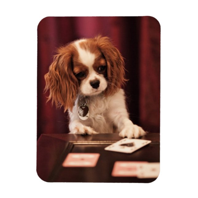 Magnet Flexible Cartes de jeu de marionnettes (Vertical)