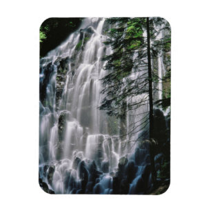 Magnet Flexible Cascade en forêt, Oregon
