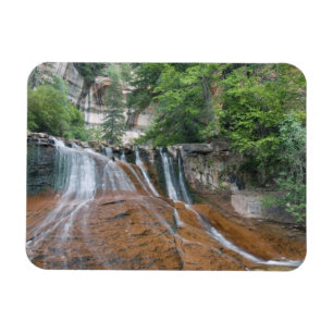 Magnet Flexible Cascade, parc national de Zion, Utah, États-Unis