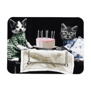 Magnet Flexible Cats celebrating a birthday with cake and candles