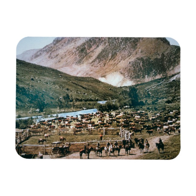 Magnet Flexible Cattle Ranch, Colorado, 1899 (photo) (Horizontal)