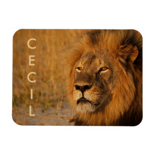 Magnet Flexible Cecil le Lion d'Afrique