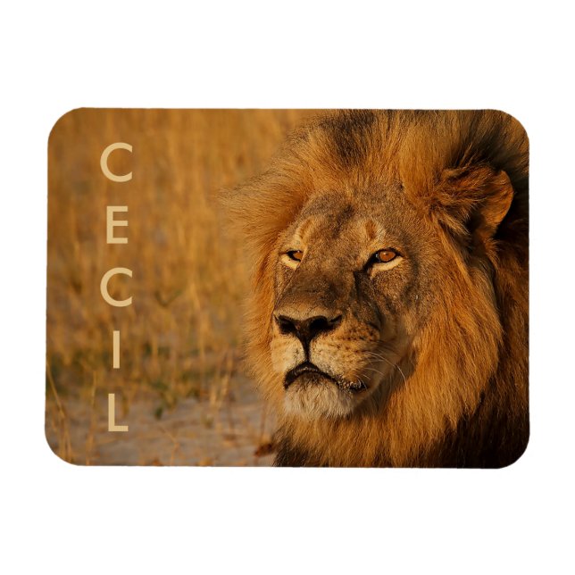 Magnet Flexible Cecil le Lion d'Afrique (Horizontal)