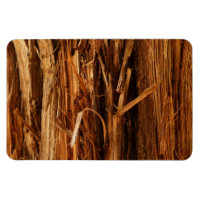 Cèdre texturé en écorce de bois