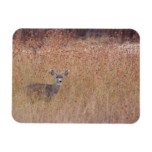 Magnet Flexible Cerf dans la prairie