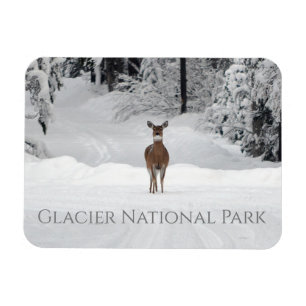 Magnet Flexible Cerf en neige, parc national des Glaciers
