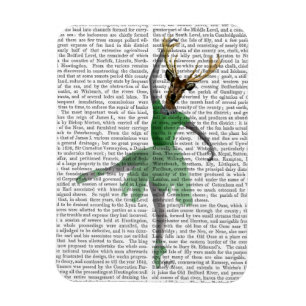 Magnet Flexible Cerfs communs de ballet en vert