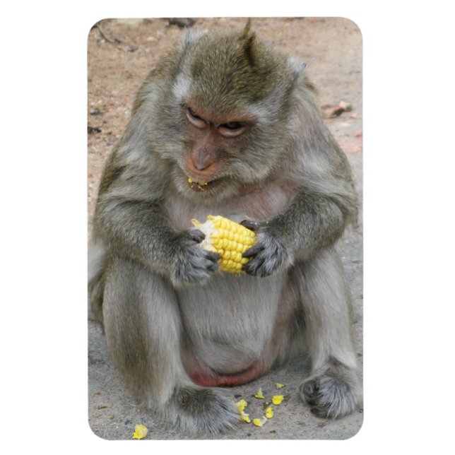 Magnet Flexible C'est à moi ! ! ... Singe Macaque thaïlandais sauv (Vertical)