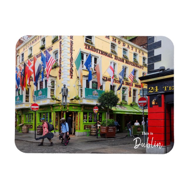 Magnet Flexible C'est Dublin-Irlande (Horizontal)