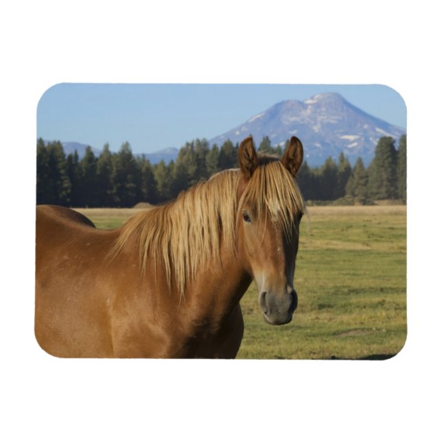 Magnet Flexible Chaîne des Cascades | Cheval châtaigne (Horizontal)