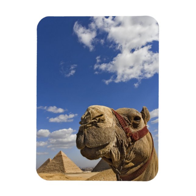 Magnet Flexible Chameau devant les pyramides de Gizeh, Égypte, (Vertical)