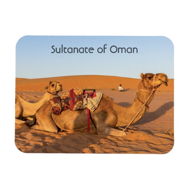 Magnet Flexible Chameaux dans le désert d'Oman (Horizontal)