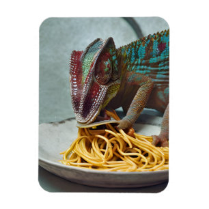 Magnet Flexible Chameleon Manger Spaghetti