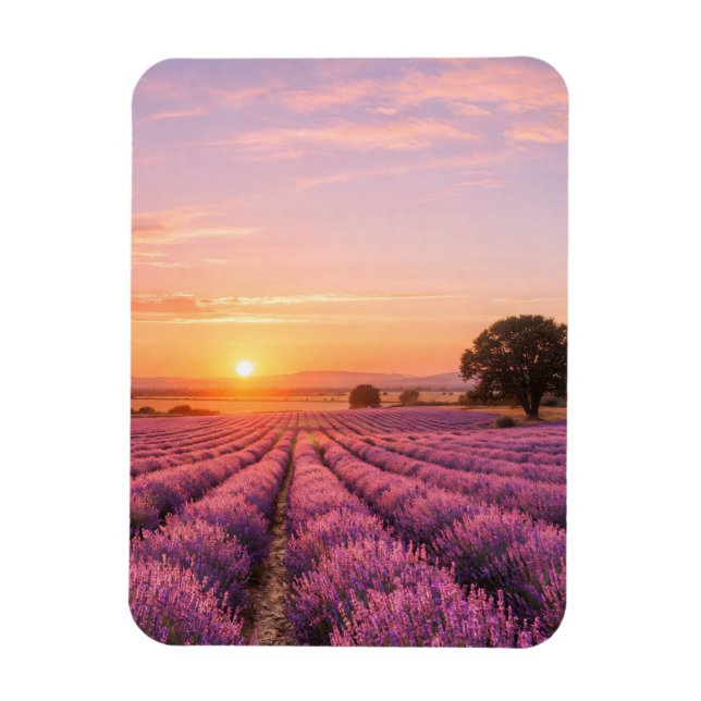 Magnet Flexible Champ de lavande en fleurs au coucher de soleil do (Vertical)