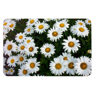 Magnet Flexible Champ de marguerites Aimant flexible