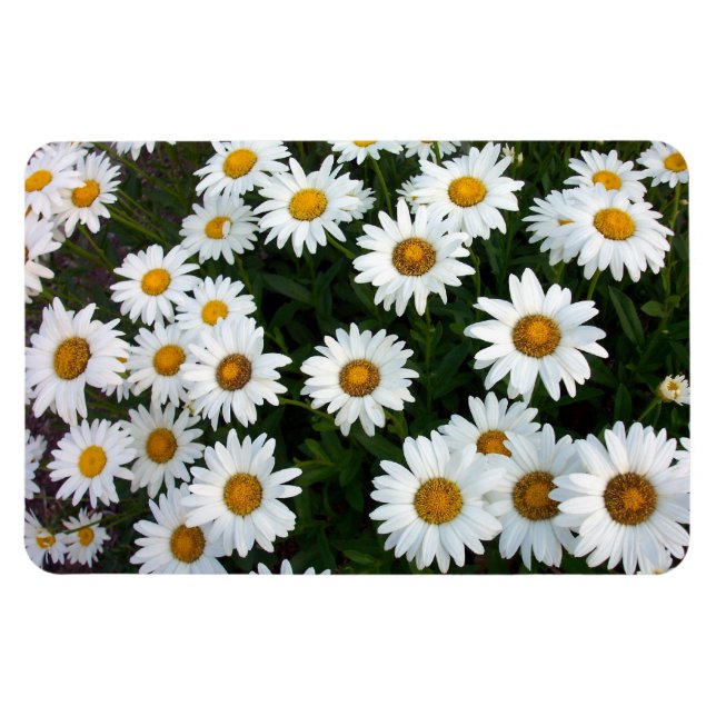 Magnet Flexible Champ de marguerites Aimant flexible (Horizontal)