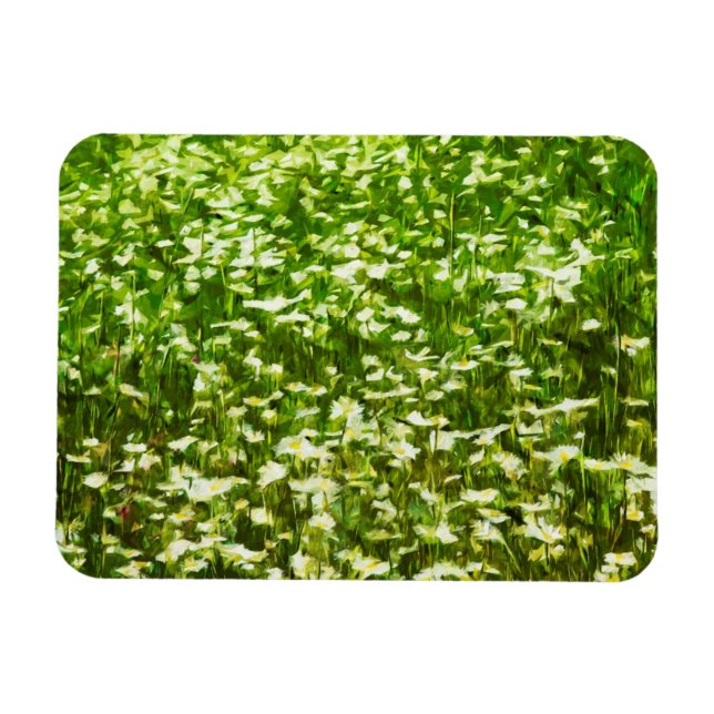 Magnet Flexible Champ de marguerites Oxeye Impressionnisme Abstrai (Horizontal)