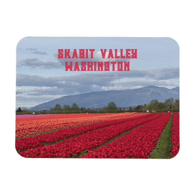 Magnet Flexible Champ de tulipes de la vallée de Skagit, État de W (Horizontal)