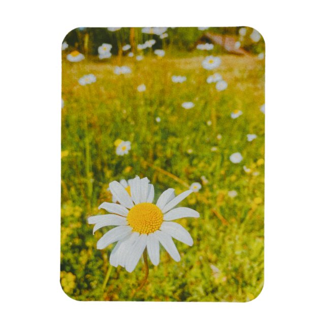 Magnet Flexible Champ scandinave estival en fleurs  (Vertical)