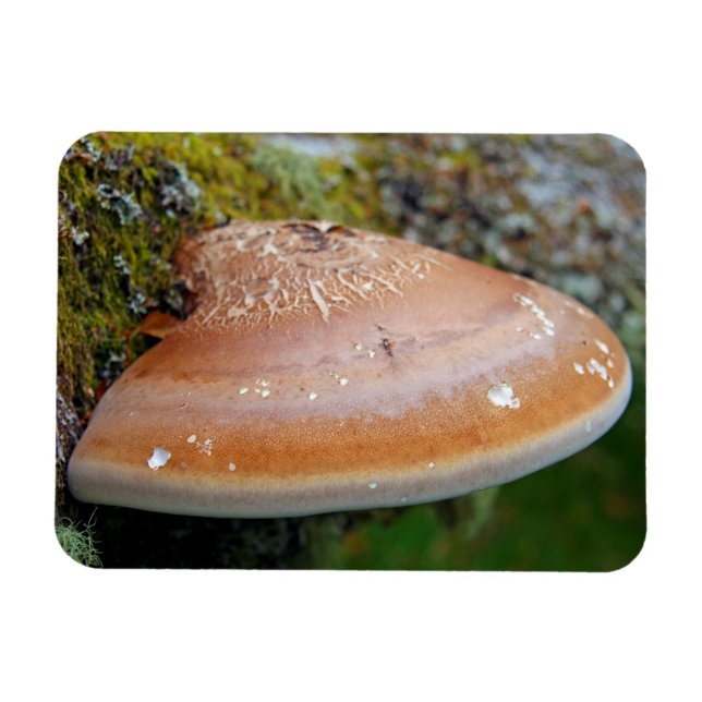 Magnet Flexible champignon de la poignée (Horizontal)