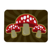 Champignons funky Champignons