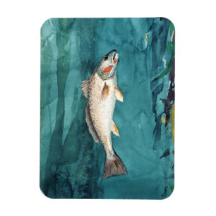 Magnet Flexible Channel Bass Fish Peinture américaine par Homer