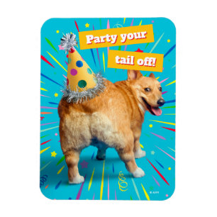Magnet Flexible Chapeau d'anniversaire Corgi Butt