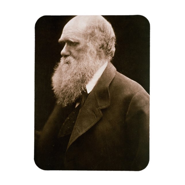 Magnet Flexible Charles Darwin (1809-82) (Vertical)