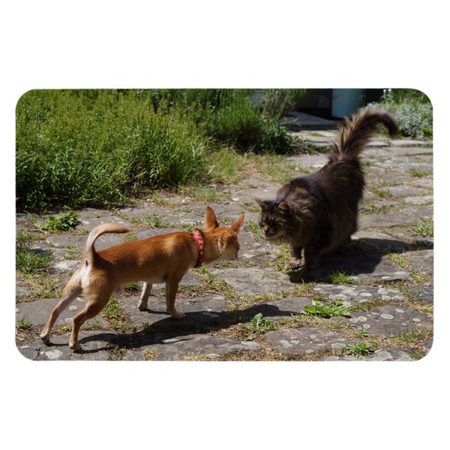 Magnet Flexible Charlie Chihuahua (Horizontal)