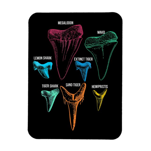 Magnet Flexible Chasse aux dents de requin - Cadeaux de requin fou (Vertical)