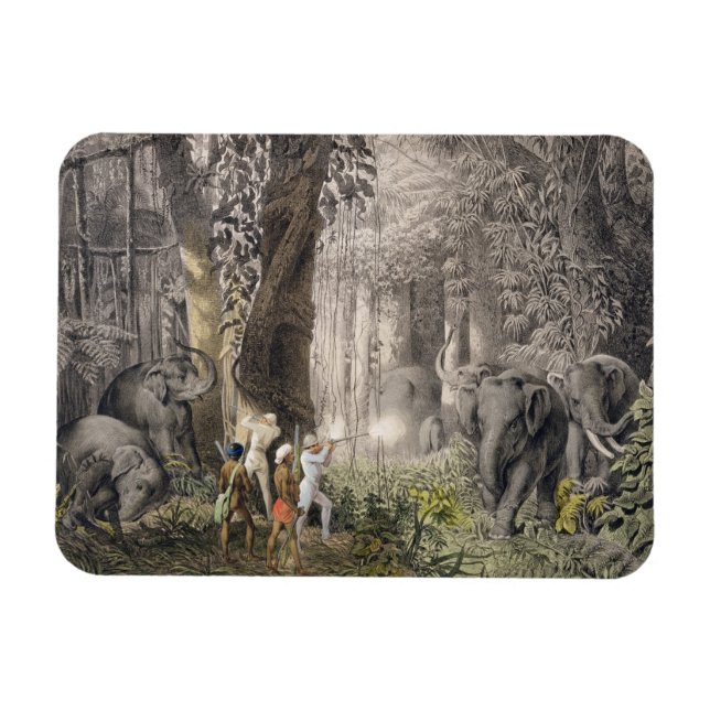 Magnet Flexible Chasse aux éléphants dans la région de Logalla, à  (Horizontal)