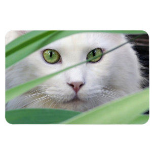 Magnet Flexible Chat 