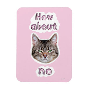 Magnet Flexible Chat agacé