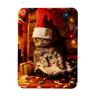 Magnet Flexible Chat avec prise sur la tête