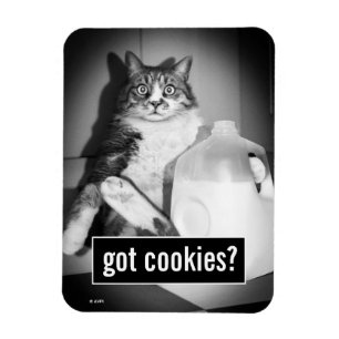 Magnet Flexible Chat Boire Du Lait De Jug