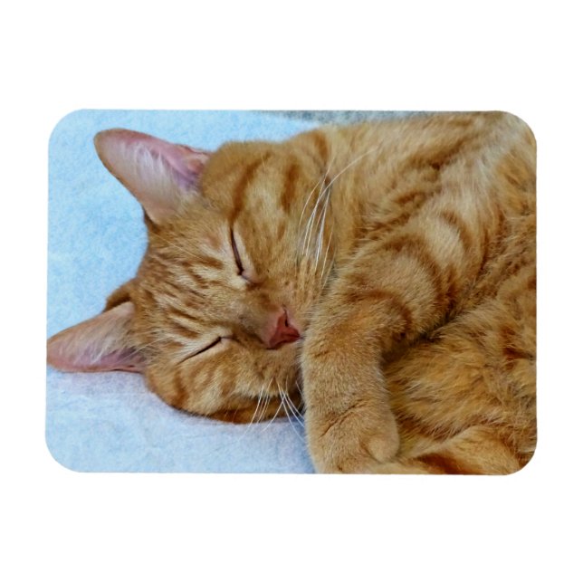 Magnet Flexible Chat couché (Horizontal)