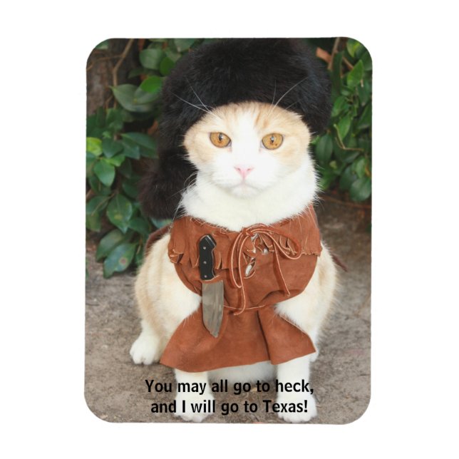 Magnet Flexible Chat/Kitty en peau de bukskin avec Davy Crockett (Vertical)