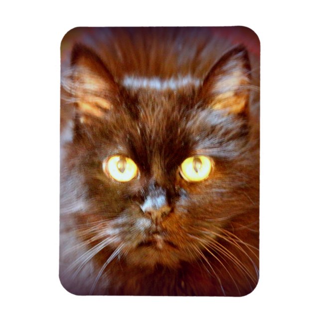 Magnet Flexible chat noir (Vertical)