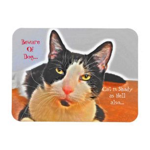 Magnet Flexible Chat Shady Tuxedo 