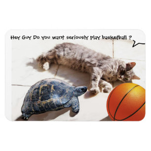 MAGNET FLEXIBLE CHAT, TORTUE ET BASKETBALL