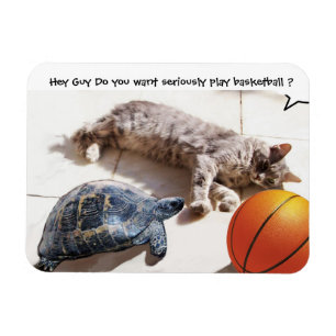 MAGNET FLEXIBLE CHAT, TORTUE ET BASKETBALL