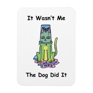 Magnet Flexible Chat Whimsical