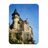 Château de Montfort, Dordogne, France