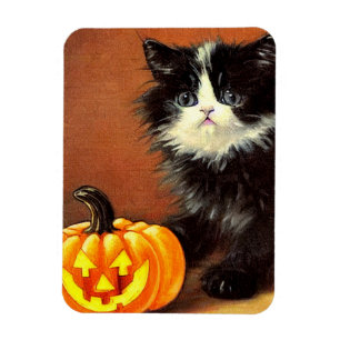 Magnet Flexible Chaton d'Halloween noir et blanc vintage