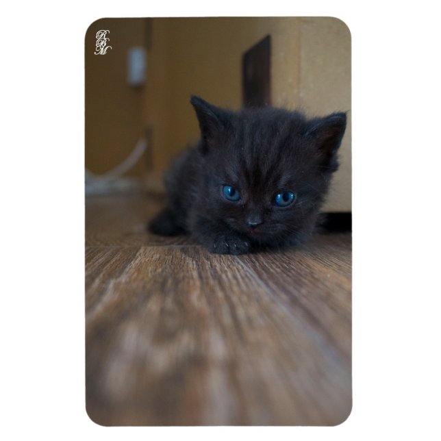 Magnet Flexible Chaton noir (Vertical)